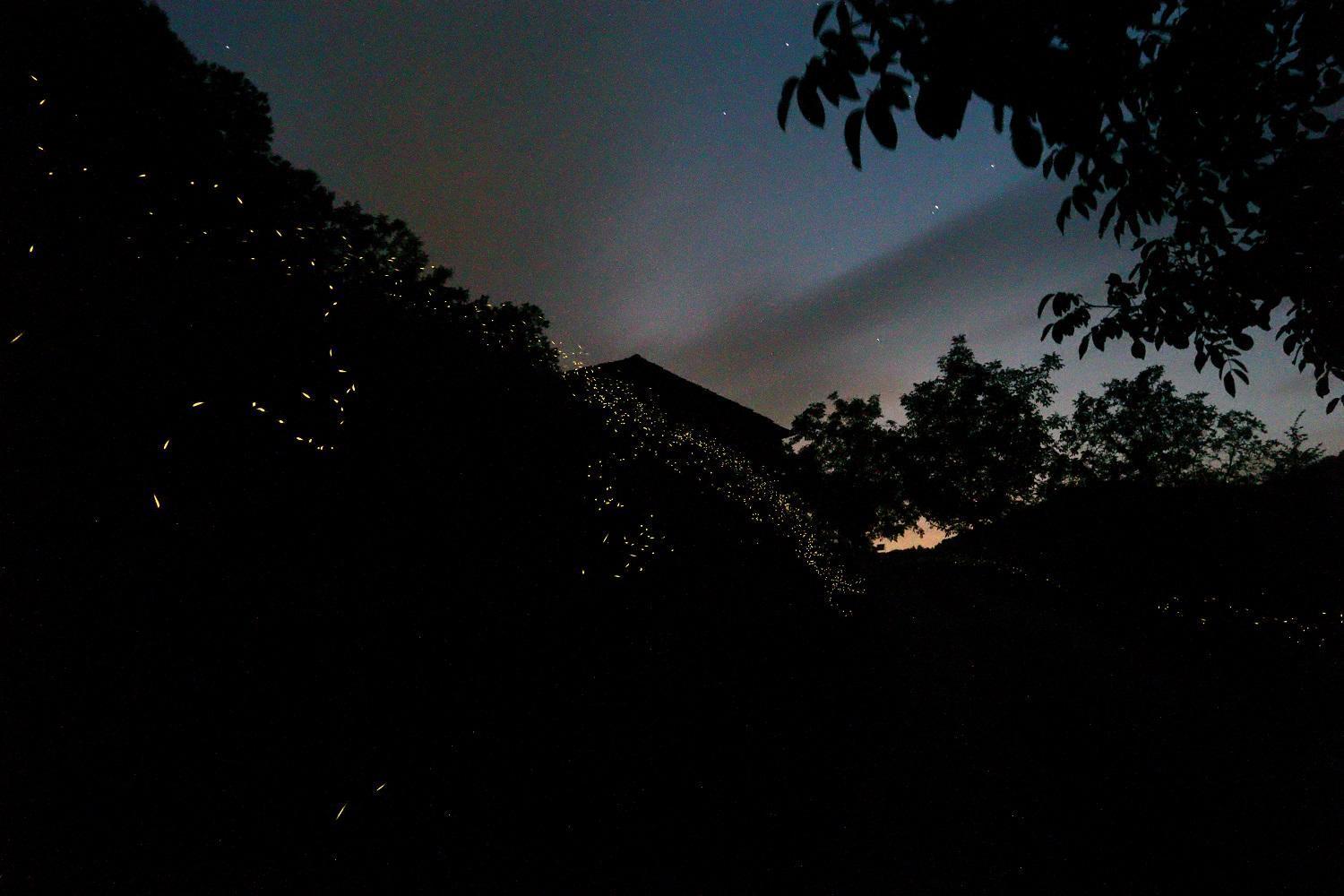 Mimmo'S Holiday House San Godenzo Exteriör bild